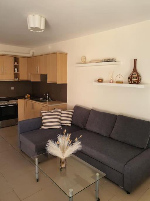 Korais Apartment, Chania Crete Kounoupidhianá Zewnętrze zdjęcie